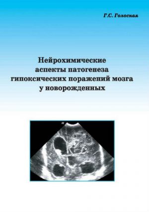 Нейрохимические аспекты патогенеза гипоксических поражений мозга у новорожденных. Монография