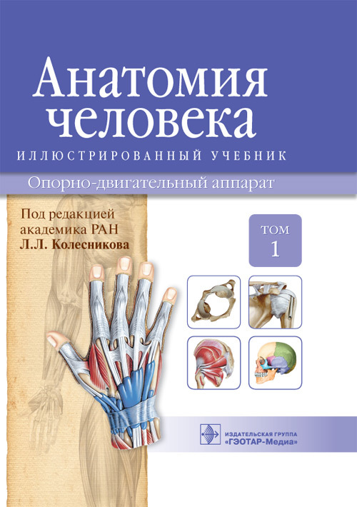 Анатомия человека. Учебник в 3 томах. Том 1. Опорно-двигательный аппарат (уценка 70)