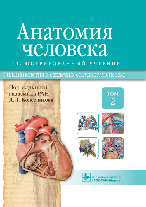 Анатомия человека. Учебник в 3-х томах. Том 2. Спланхнология и сердечно-сосудистая система