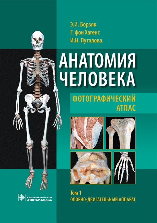 Анатомия человека. Фотографический атлас в 3-х томах. Том 1. Опорно-двигательный аппарат (уценка 40)