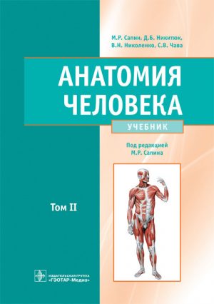 Анатомия человека. Учебник в 2 -х томах. Том 2