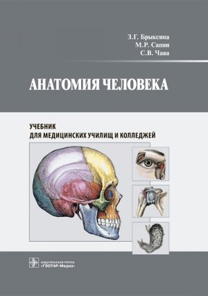 Анатомия человека. Учебник для медицинских училищ и колледжей