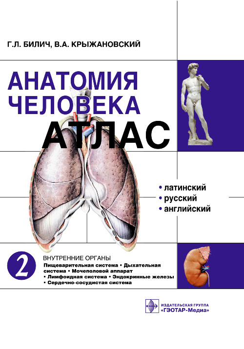 Анатомия человека. Атлас в 3 томах. Том 2. Внутренние органы (уценка 10)