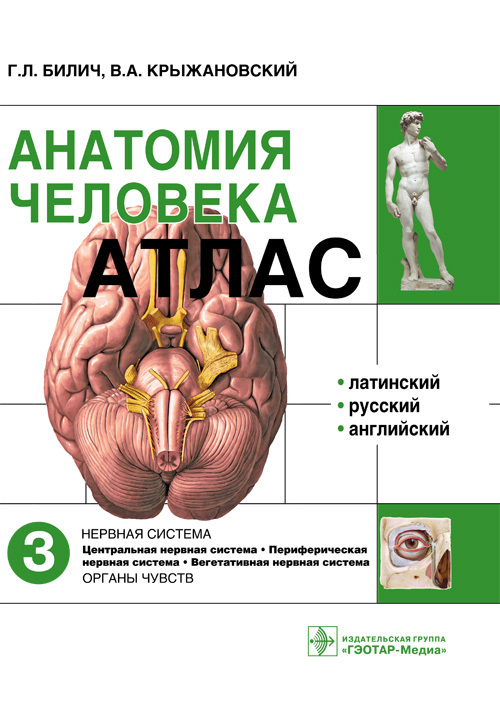Анатомия человека. Атлас в 3 томах. Том 3. Нервная система (уценка 10)