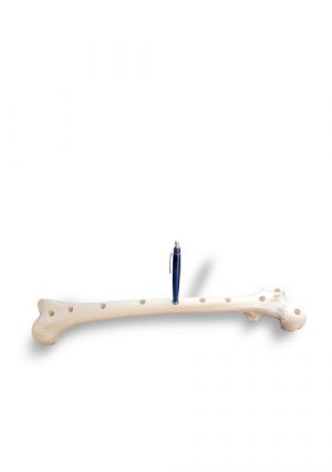 Подставка для ручек “Плечевая кость” в натуральную величину
