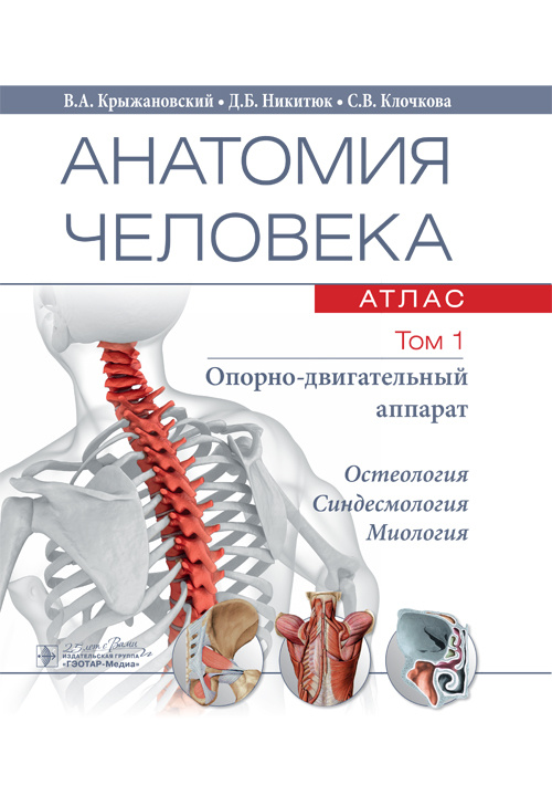 Анатомия человека. Атлас в 3-х томах. Том 1. Опорно-двигательный аппарат
