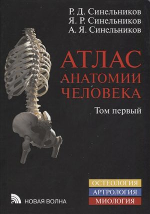 Атлас анатомии человека в 4-х томах. Том 1