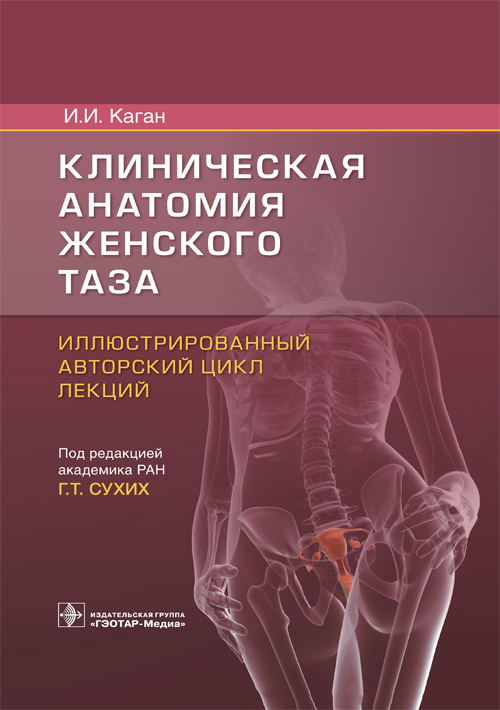 Клиническая анатомия женского таза. Иллюстрированный авторский цикл лекций