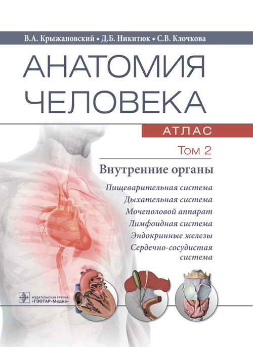Анатомия человека. Атлас в 3-х томах. Том 2. Внутренние органы (уценка 30)