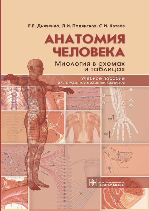 Анатомия человека: миология в схемах и таблицах (уценка 30)