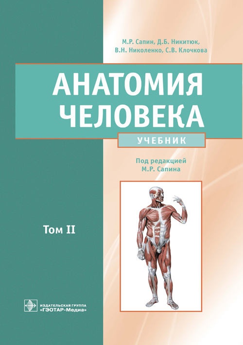 Анатомия человека. Учебник в 2-х томах. Том II