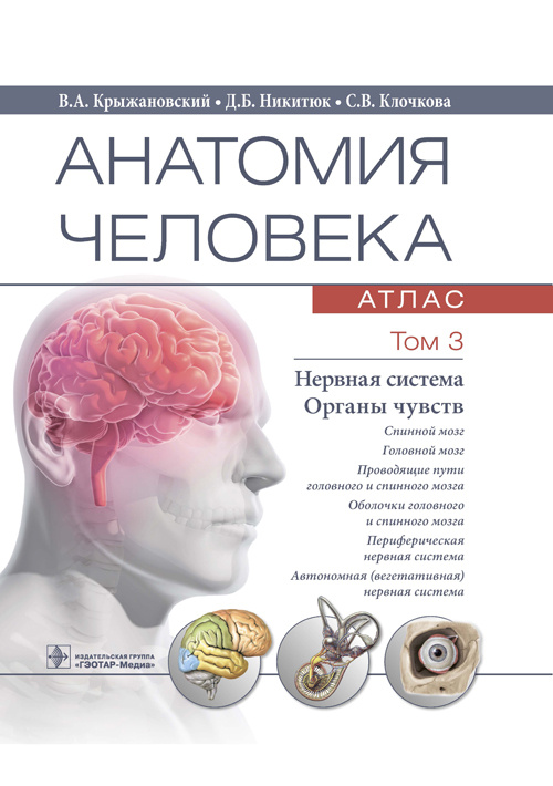 Анатомия человека. Атлас в 3-х томах. Том 3. Нервная система. Органы чувств (уценка 30)
