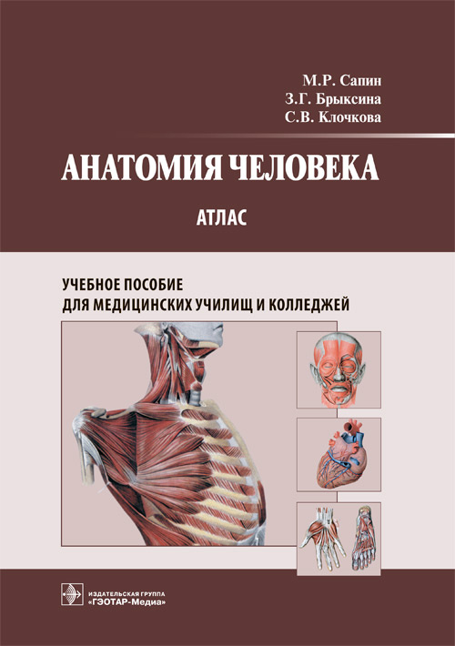 Анатомия человека. Атлас (уценка 70)