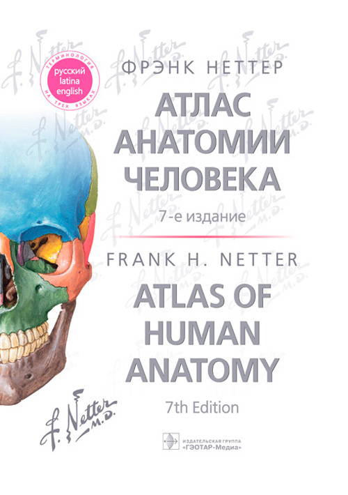 Атлас анатомии человека (уценка 10)