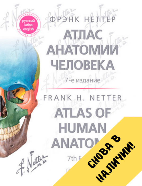 «Хирургические заболевания, травмы и беременность. Учебник» Пряхин В.Ф ...