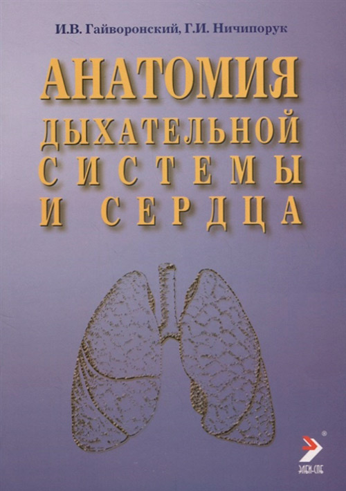 Анатомия дыхательной системы и сердца. Учебное пособие