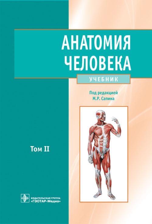 Анатомия человека. Учебник в 2 томах. Том 2