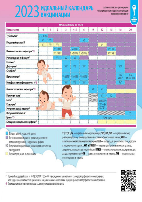 2023. Идеальный календарь вакцинации» • ISBN не указан • 2023 •  Медкнигасервис