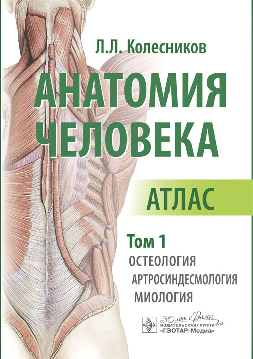 Анатомия человека. Атлас в 3-х томах. Том 1. Остеология, артросиндесмология, миология