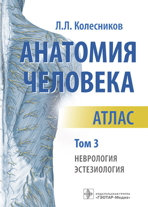 Анатомия человека. Атлас в 3-х томах. Том 3. Неврология, эстезиология