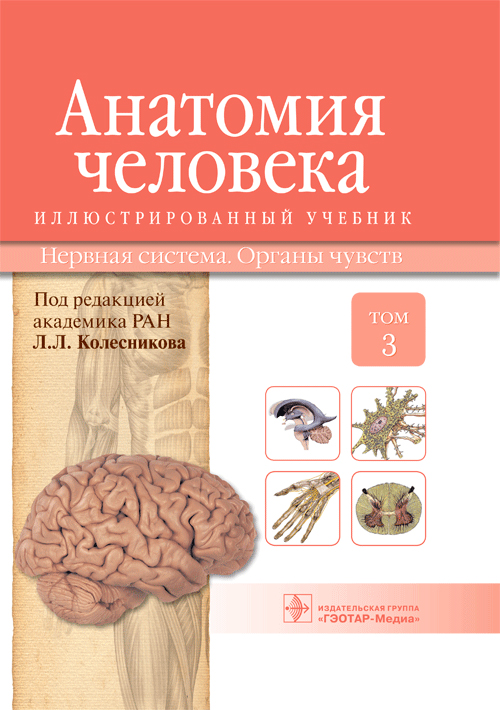 Анатомия человека. Учебник в 3-х томах. Том 3. Нервная система. Органы чувств (уценка 20)