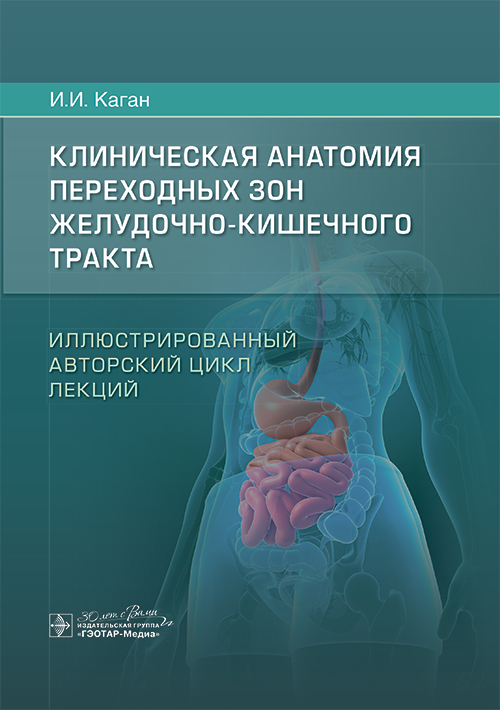 Клиническая анатомия переходных зон желудочно-кишечного тракта. Иллюстрированный авторский цикл лекций