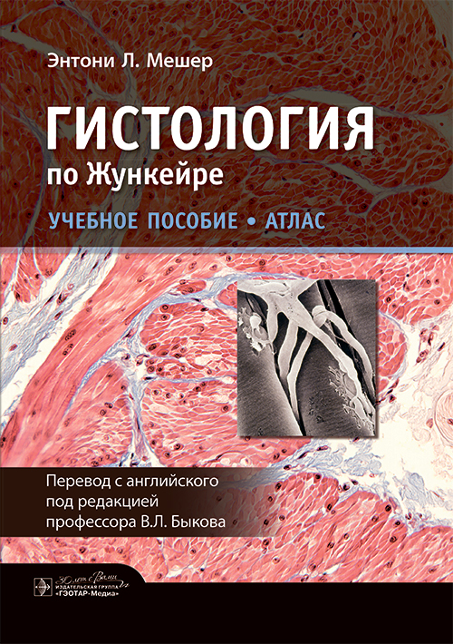 Гистология по Жункейре. Атлас. Учебное пособие