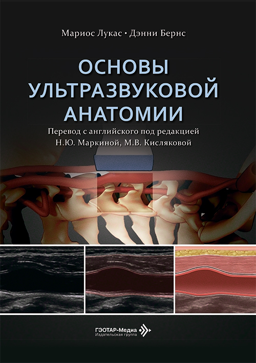 Основы ультразвуковой анатомии