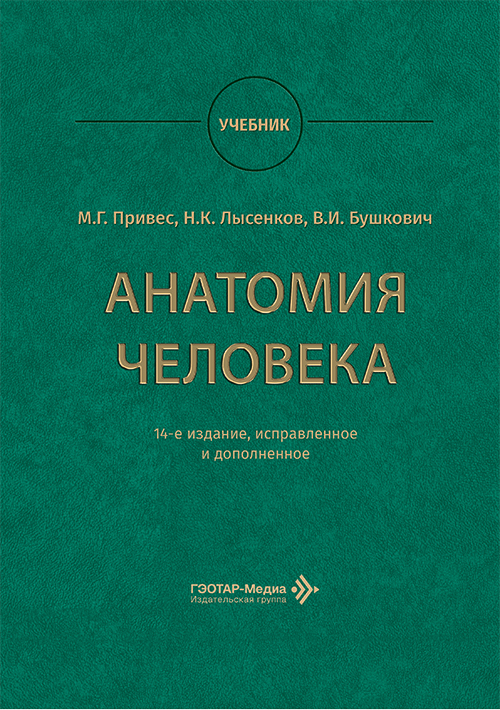 Анатомия человека. Учебник