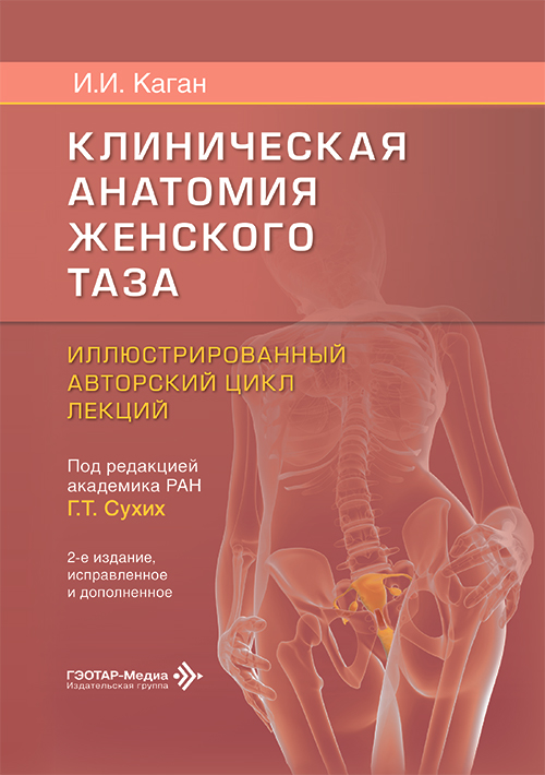 Клиническая анатомия женского таза. Иллюстрированный авторский цикл лекций